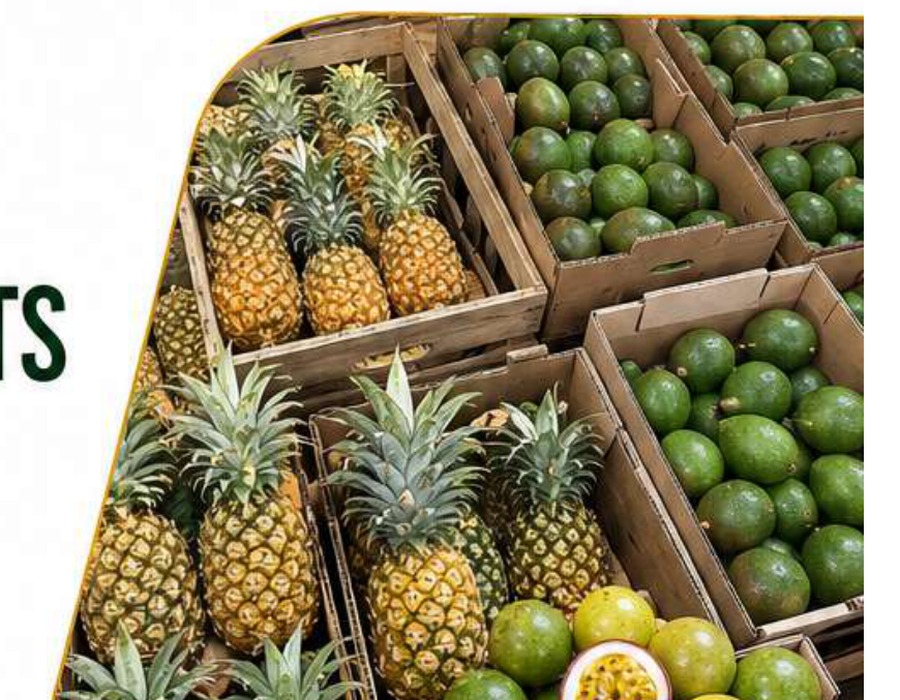 Rhylo export produce image from company profile PDF