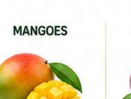 Mangoes image from company profile PDF