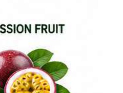 Passion Fruit image from company profile PDF