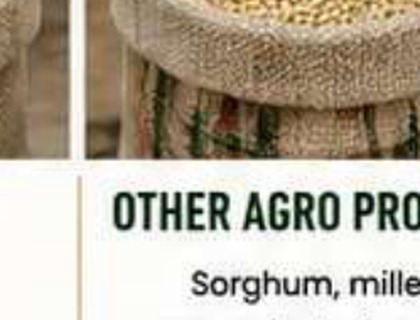 Other Agro Produce image from company profile PDF