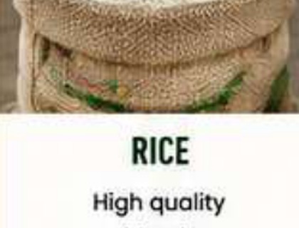 Rice image from company profile PDF