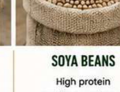 Soya Beans image from company profile PDF