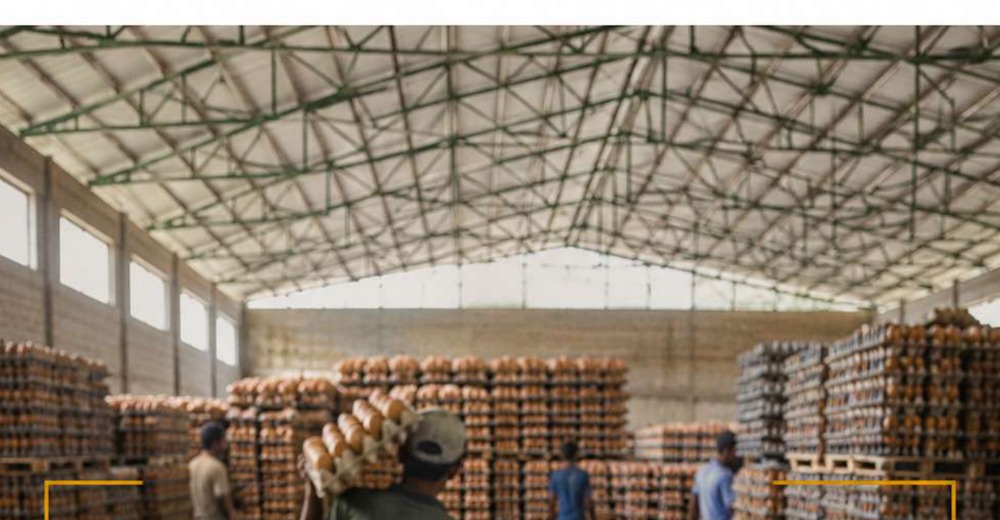 Rhylo warehouse image from company profile PDF
