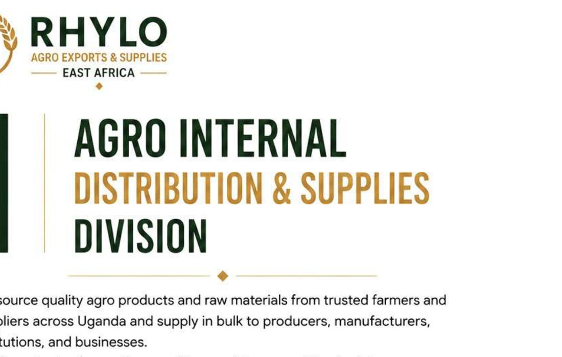Rhylo services image from company profile PDF